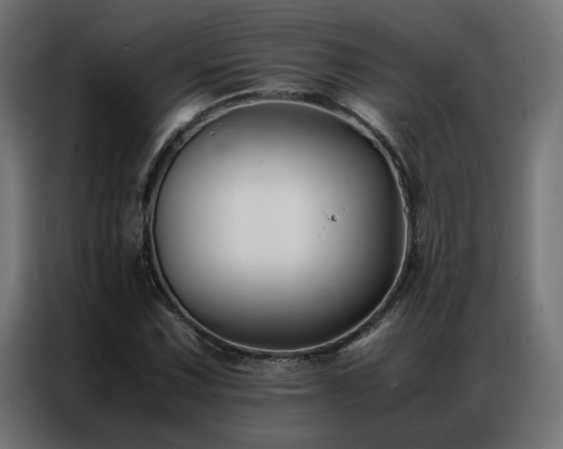 X0000086891067200704161242