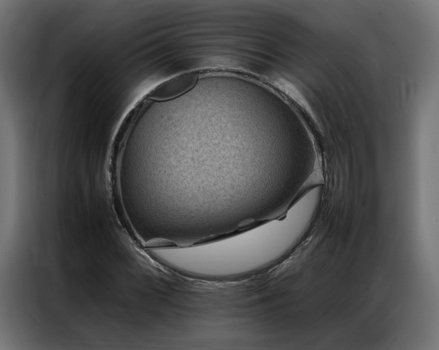 X0000086891068200704161242