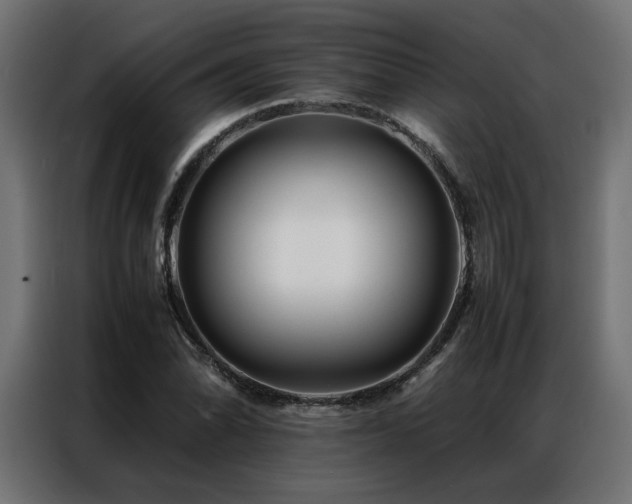 X0000086891070200704161242