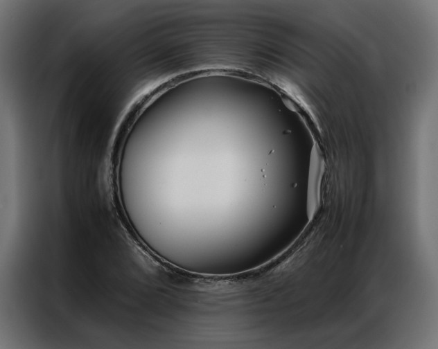 X0000086891072200704161242