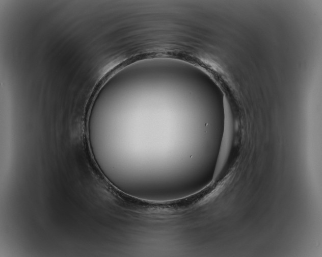 X0000086891073200704161242