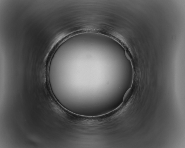 X0000086891075200704161242