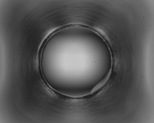 X0000086891076200704161242