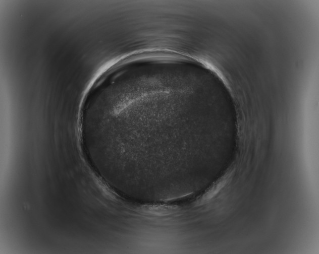 X0000086891077200704161241