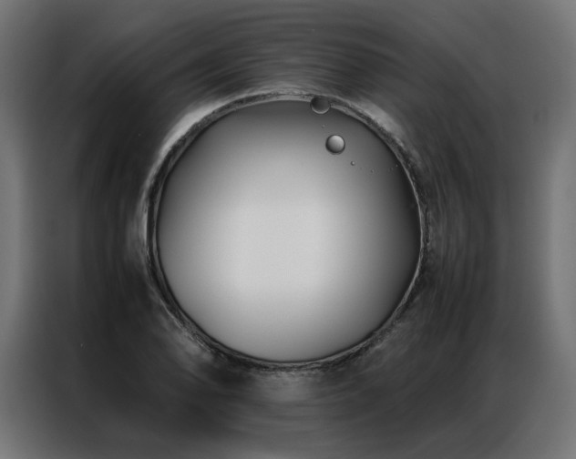 X0000086891078200704161241