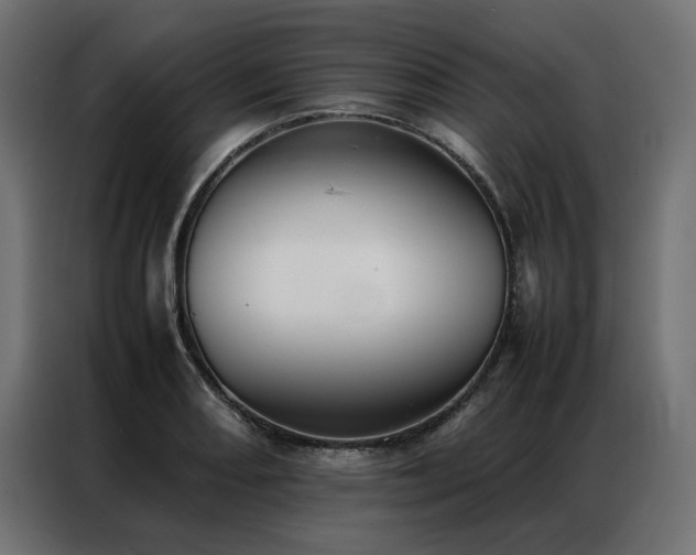 X0000086891082200704161241