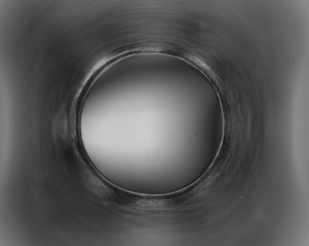 X0000086891083200704161241