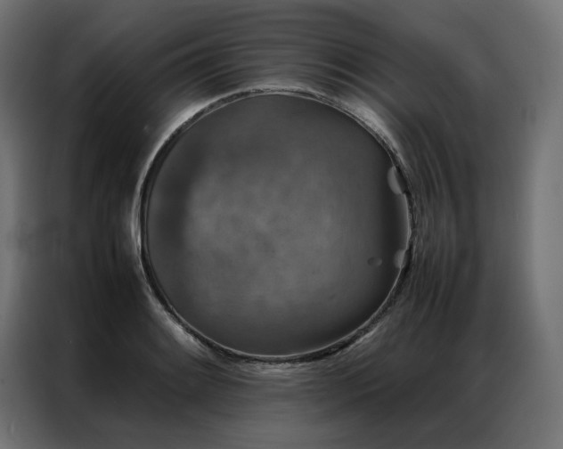 X0000086891084200704161241