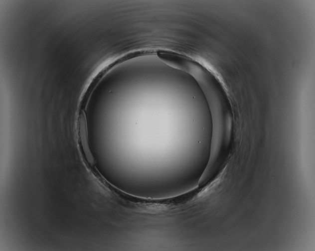 X0000086891085200704161241