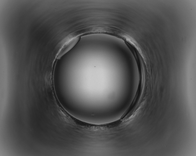 X0000086891089200704161241