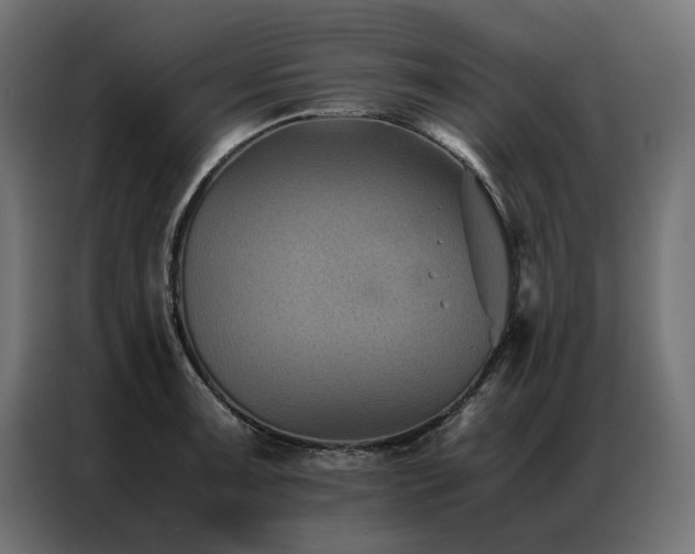 X0000086891091200704161241