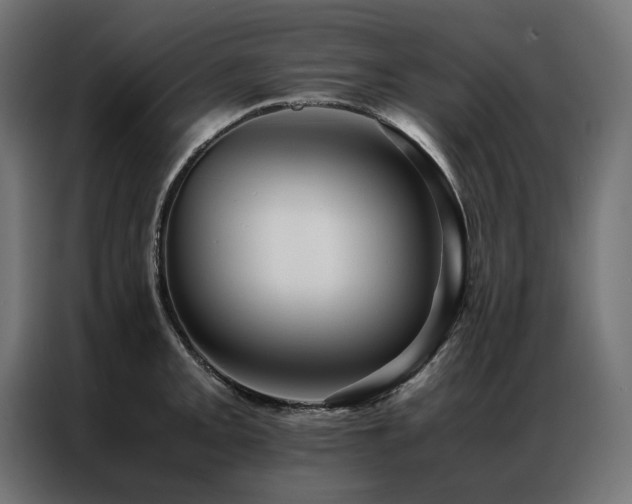 X0000086891093200704161241