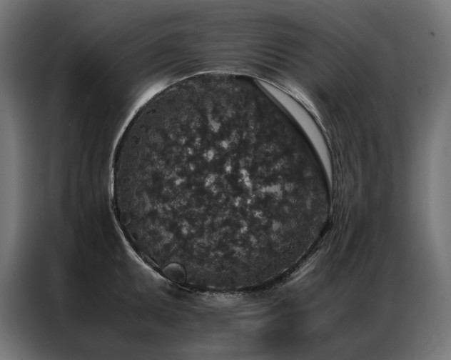 X0000086891095200704161241
