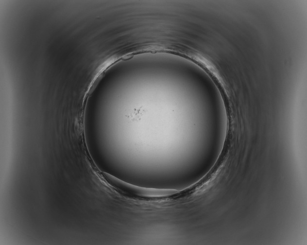 X0000086891097200704161241