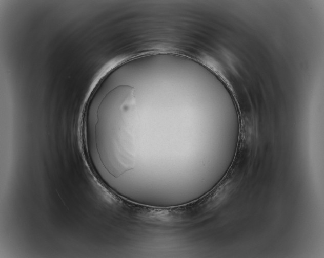 X0000086891098200704161241