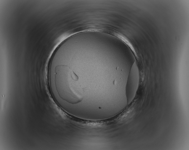 X0000086891099200704161241