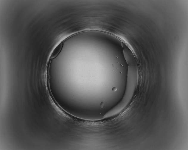 X0000086891100200704161241