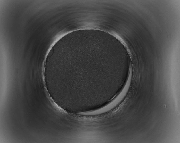 X0000086891102200704161241