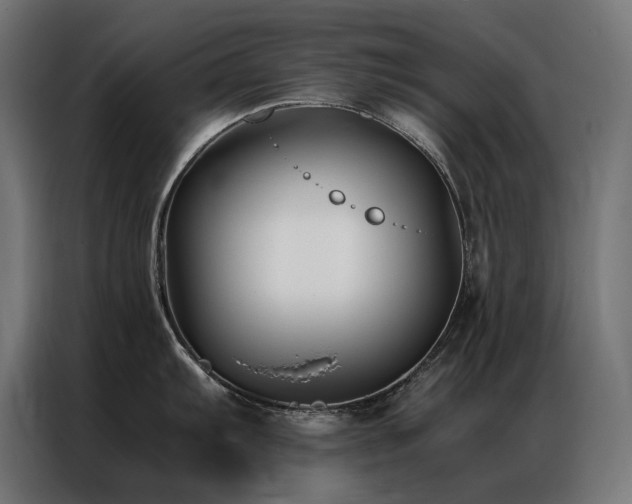 X0000086891103200704161241