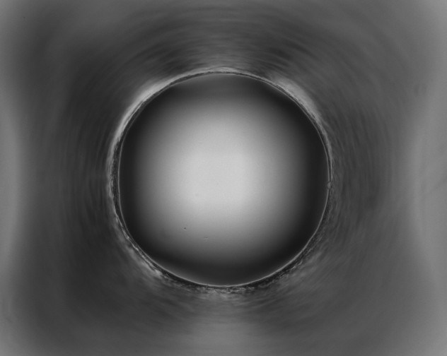 X0000086891104200704161241