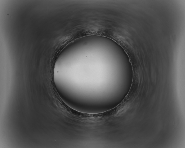 X0000086891105200704161240