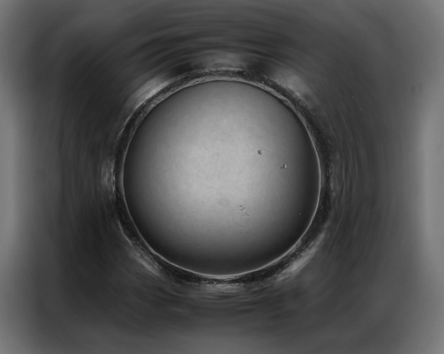 X0000086891113200704161240