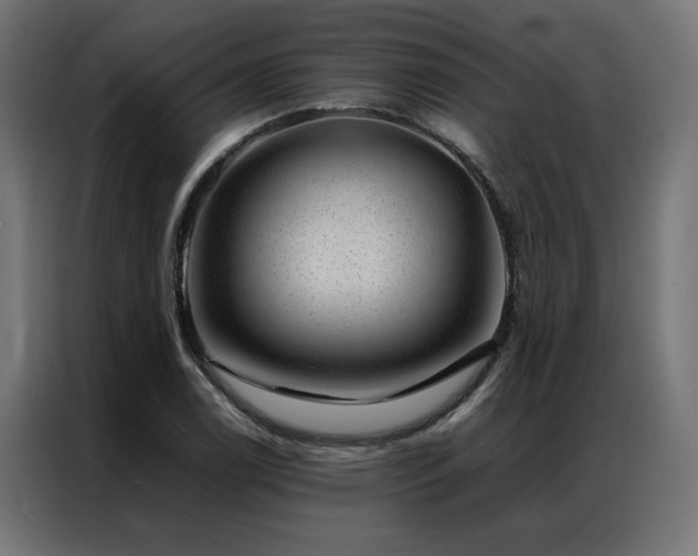 X0000086891122200704161241