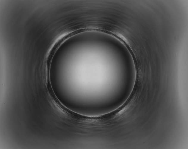 X0000086891123200704161241