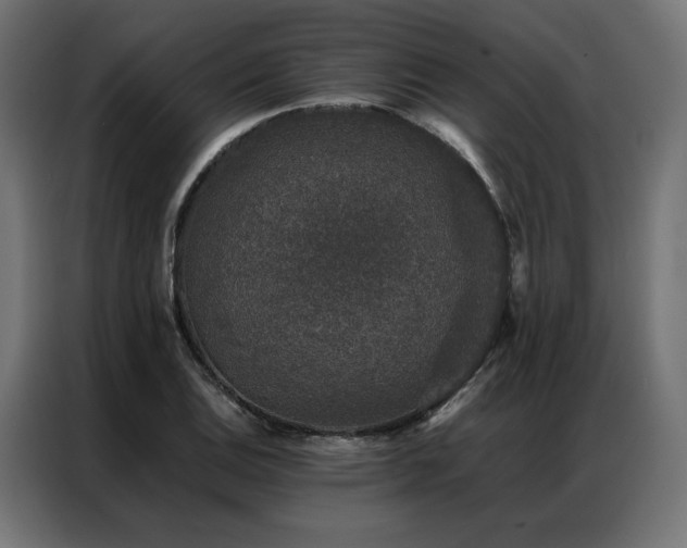 X0000086891124200704161241