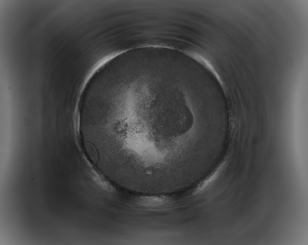 X0000086891125200704161241