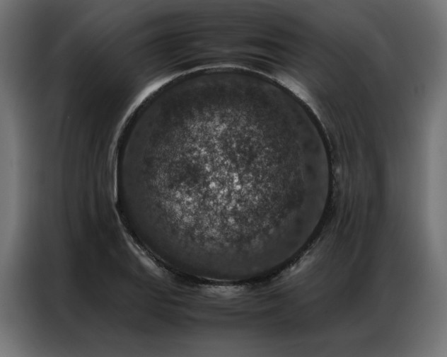 X0000086891127200704161241