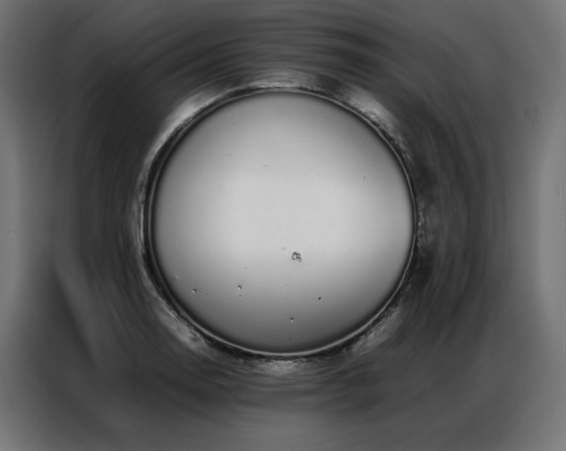 X0000086891130200704161241