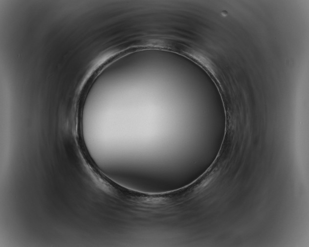 X0000086891131200704161241