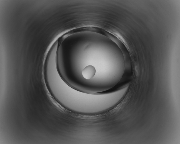 X0000086891132200704161241