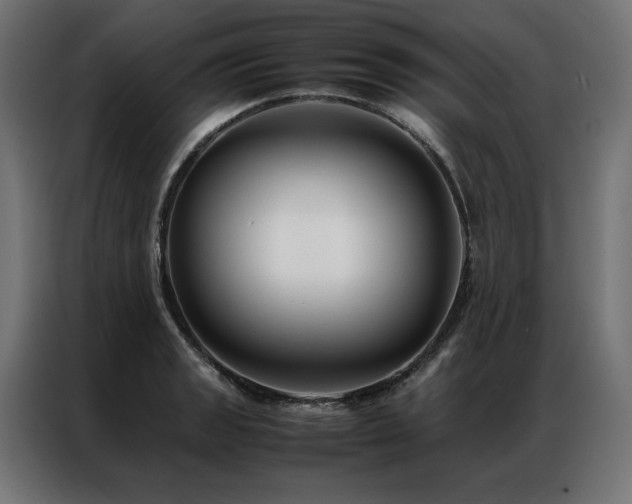 X0000086891133200704161241