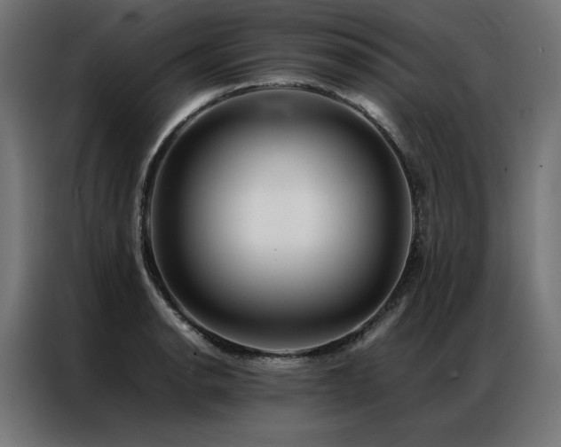 X0000086891134200704161241