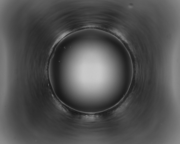 X0000086891137200704161241