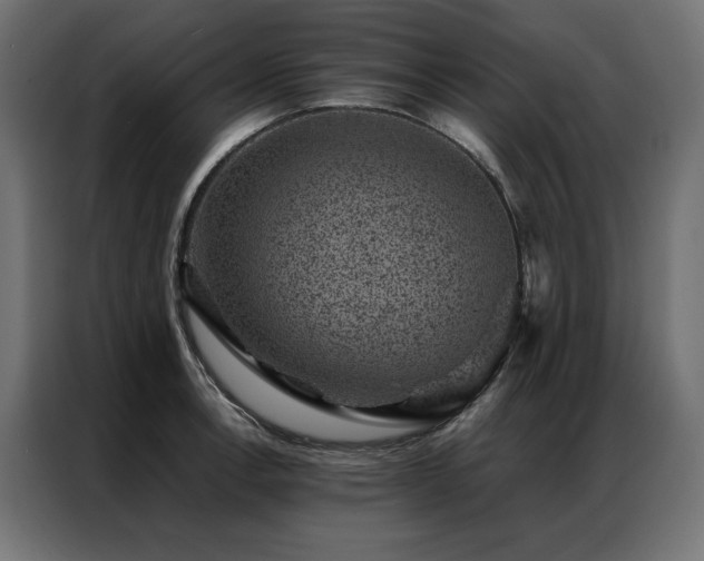 X0000086891138200704161241