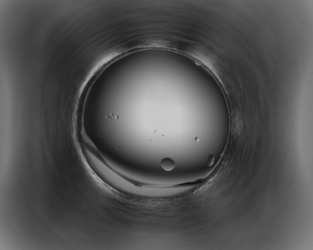 X0000086891139200704161241