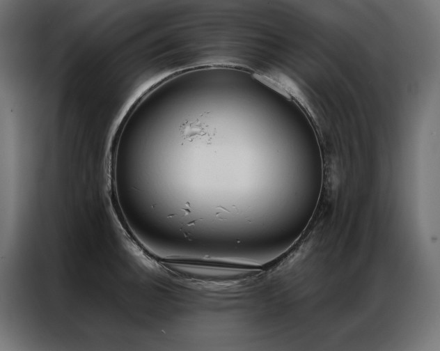 X0000086891140200704161241