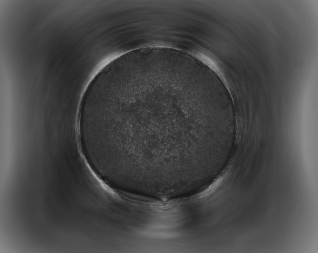 X0000086891141200704161241