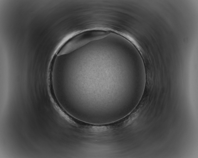 X0000086891142200704161241