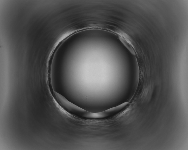 X0000086891143200704161241