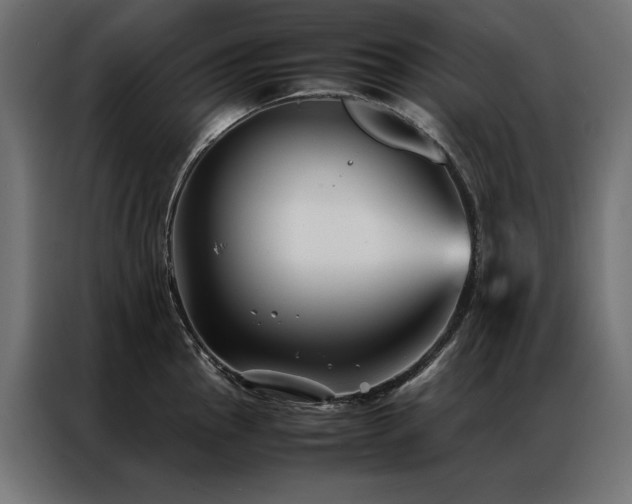 X0000086891145200704161241