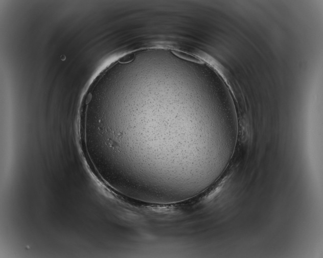 X0000086891147200704161241