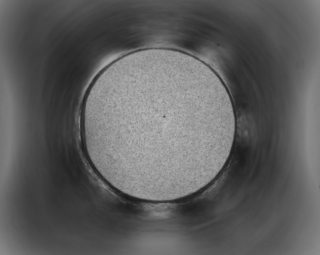 X0000086891150200704161241