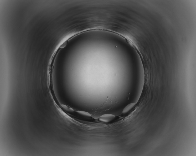 X0000086891151200704161241