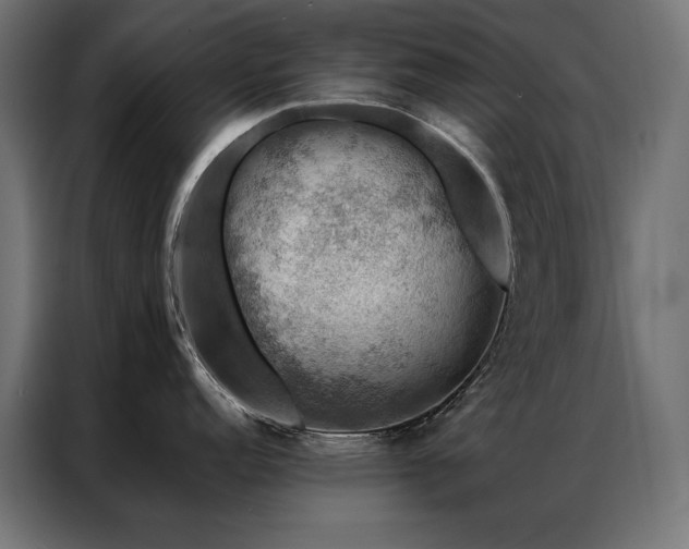 X0000086891152200704161241