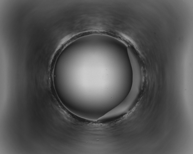 X0000086891168200704161240