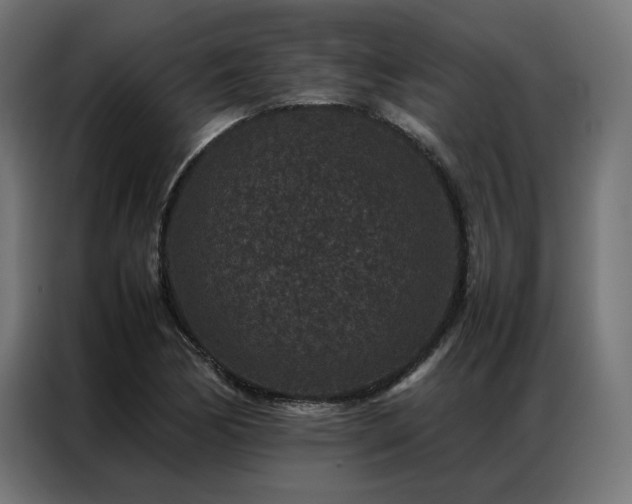 X0000086891170200704161240